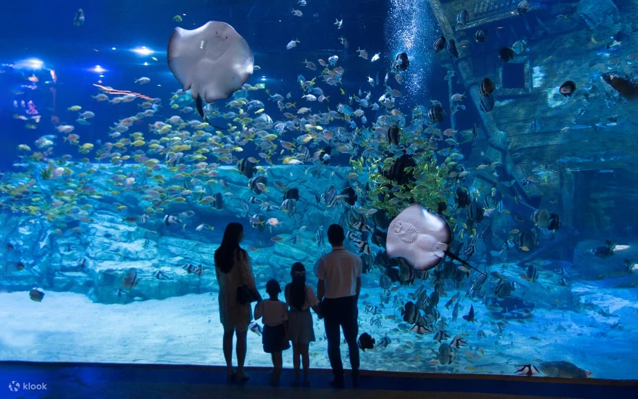 하노이 티켓 & 입장권