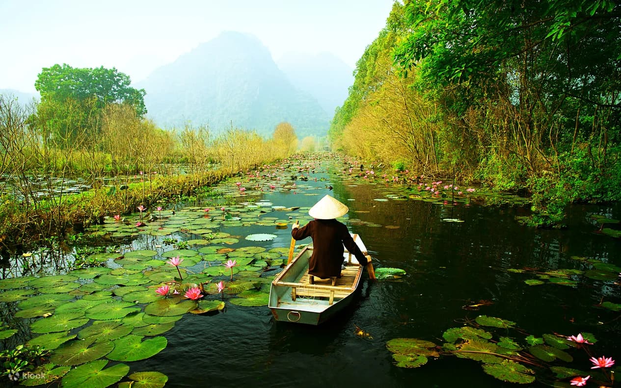 하노이 투어 & 액티비티