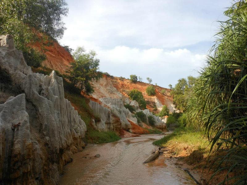 10363670_715107301858989_7932600922387390157_n-w800