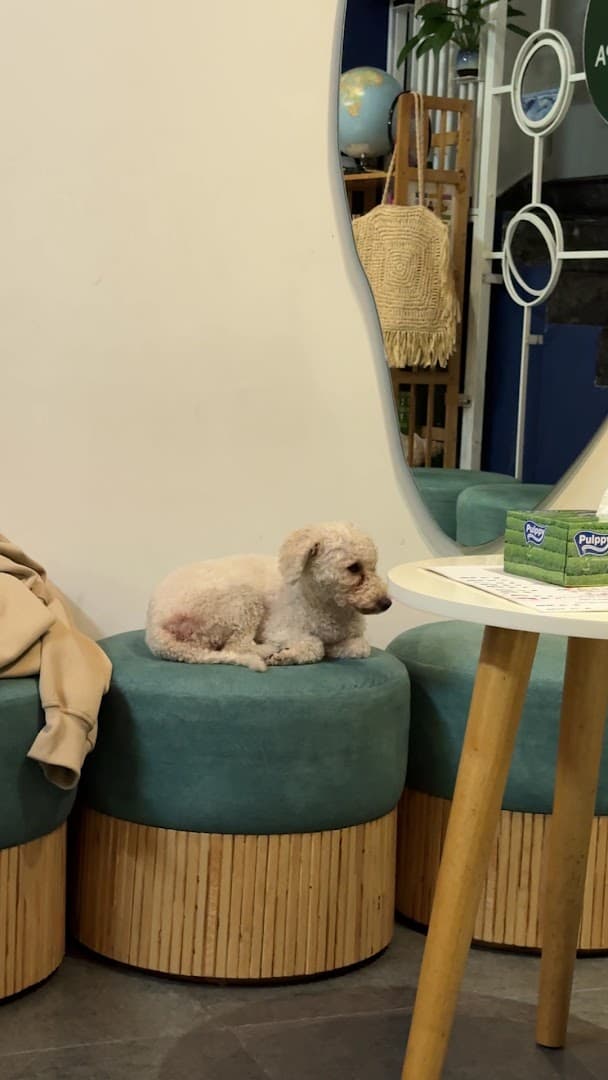 나트랑 오키드스파