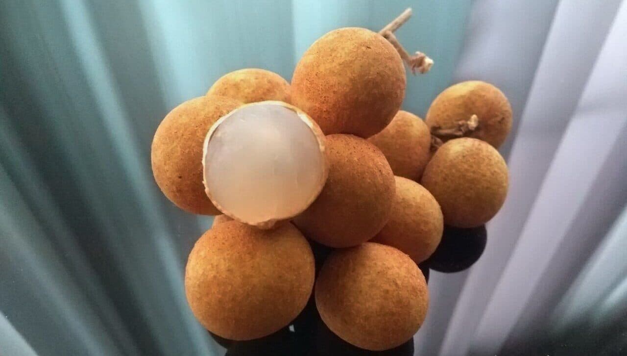 베트남 과일 - 롱안의 사진