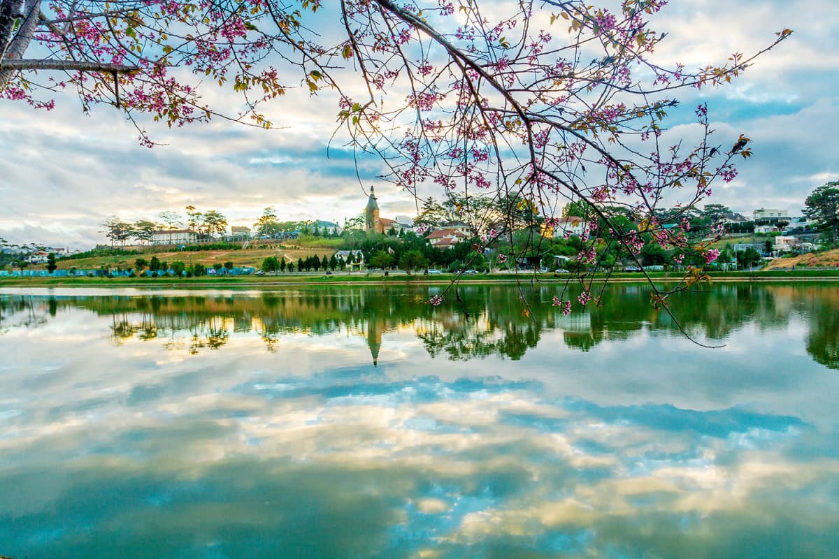 쑤언흐엉 호수 : 달랏 시민들의 편안한 휴식처