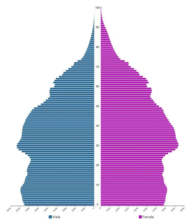베트남 인구구조 그래프